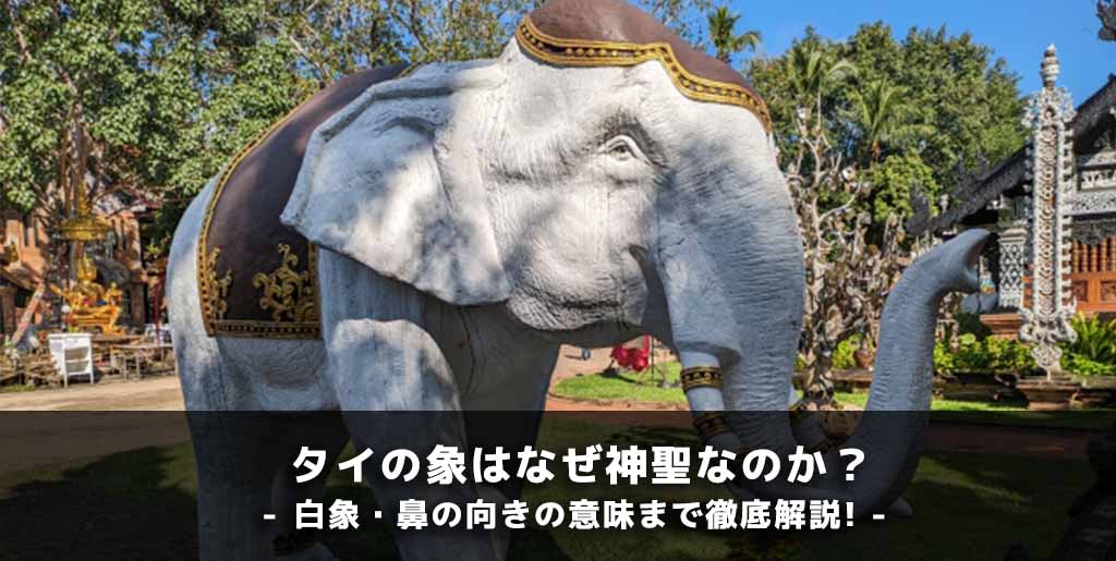 タイの象はなぜ神聖なのか？白象・鼻の向きの意味まで徹底解説