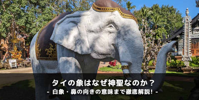 タイの象はなぜ神聖なのか？白象・鼻の向きの意味まで徹底解説