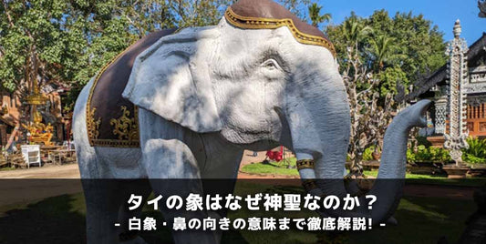 タイの象はなぜ神聖なのか？白象・鼻の向きの意味まで徹底解説