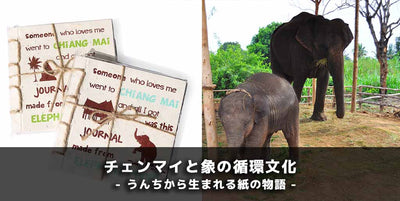 チェンマイと象の循環文化 ― うんちから生まれる紙の物語